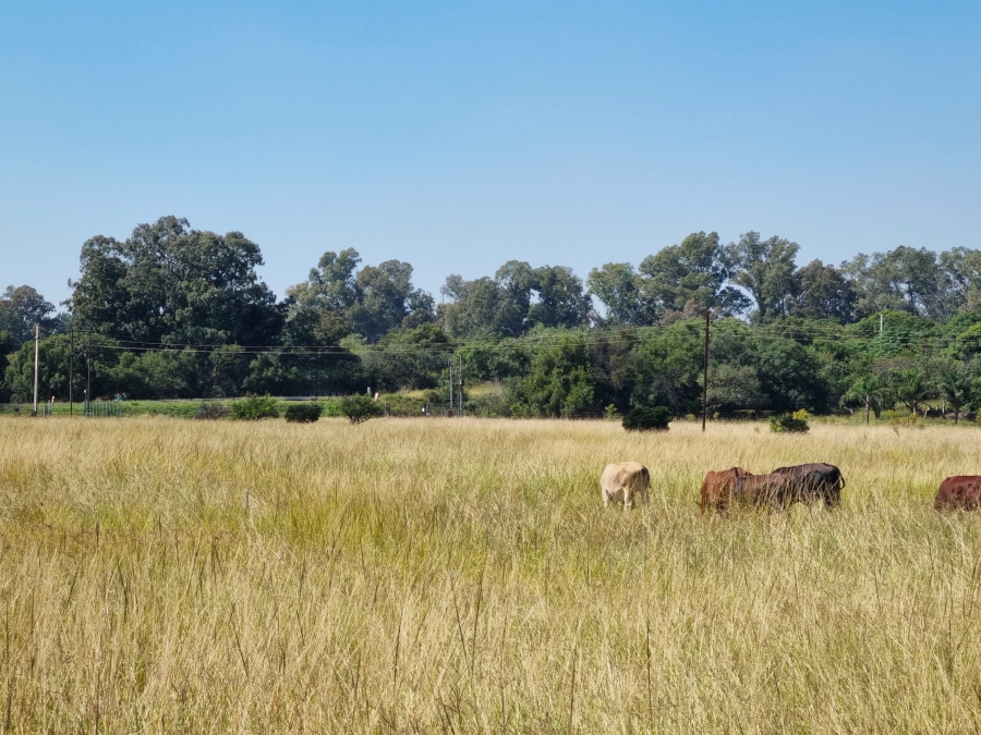 Commercial Property for Sale in Boschfontein A H North West